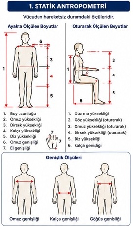 Statik Antropometri