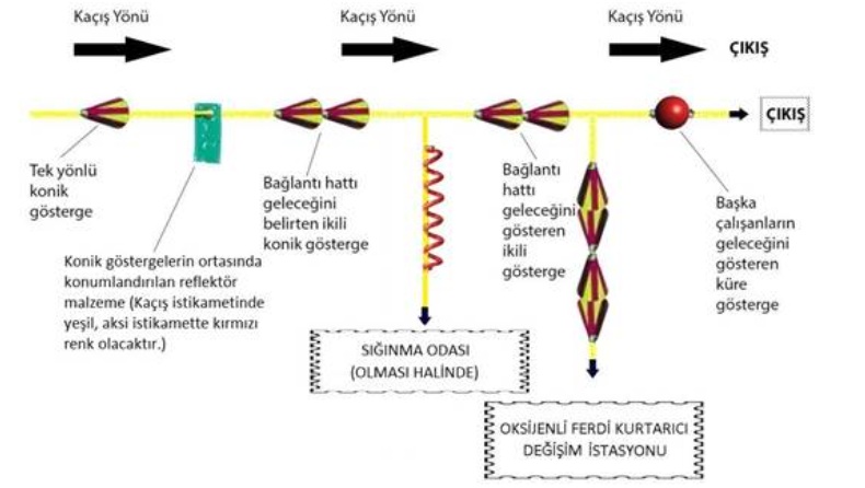 Hayat Hattı Şeması